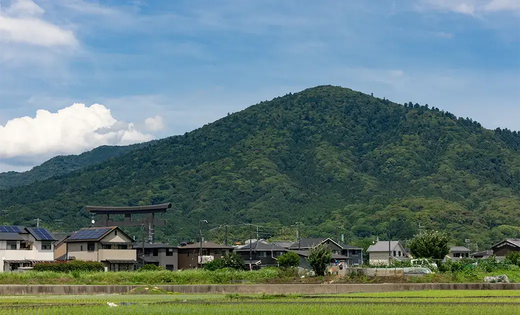 日本酒の聖地・三輪で酒を醸す～三輪の歴史、文化、風土を酒に乗せる｜みむろ杉（前編）