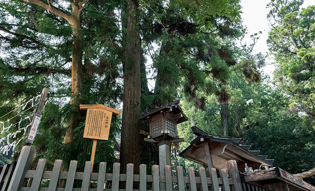酒造の神様「大神神社」