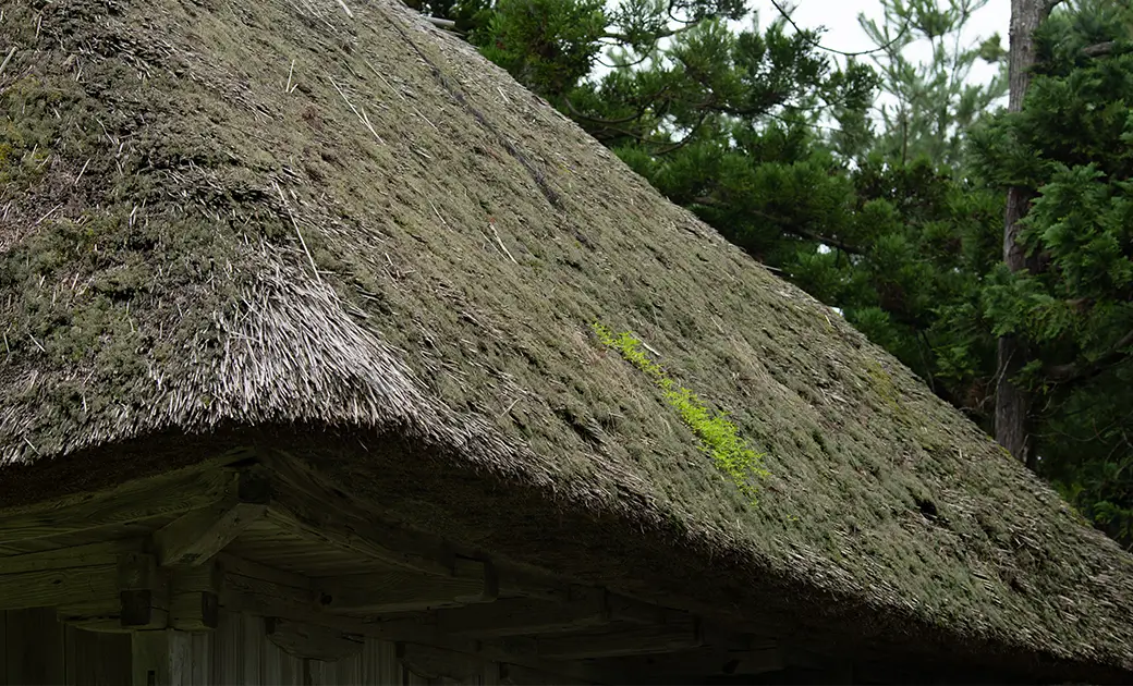 茅葺き屋根