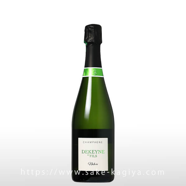 �ɥ������� �� �ե��� �ʥ��塼��