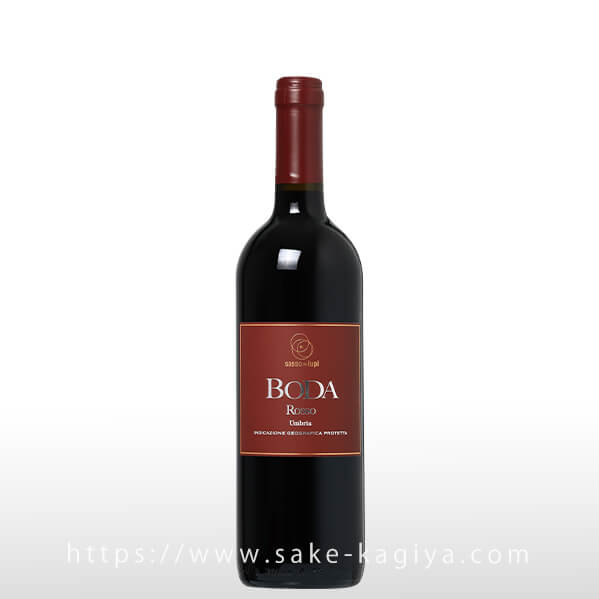 �ܡ������å� ���å� �ǥ� ���