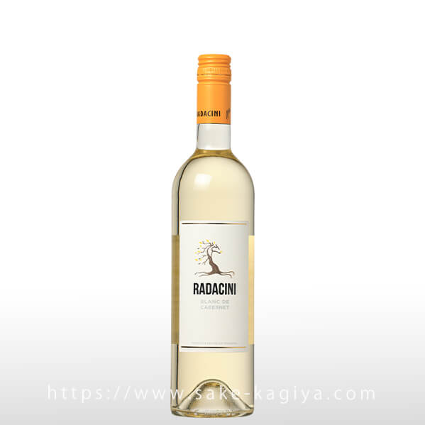 ��������� �֥�� �� ���٥��