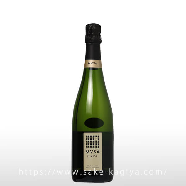 ������ ��å� �֥��å� �ʥ��塼�� ������ե����å�