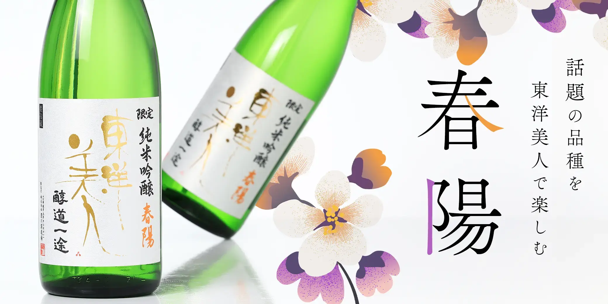 東洋美人 限定純米吟醸 醇道一途 春陽