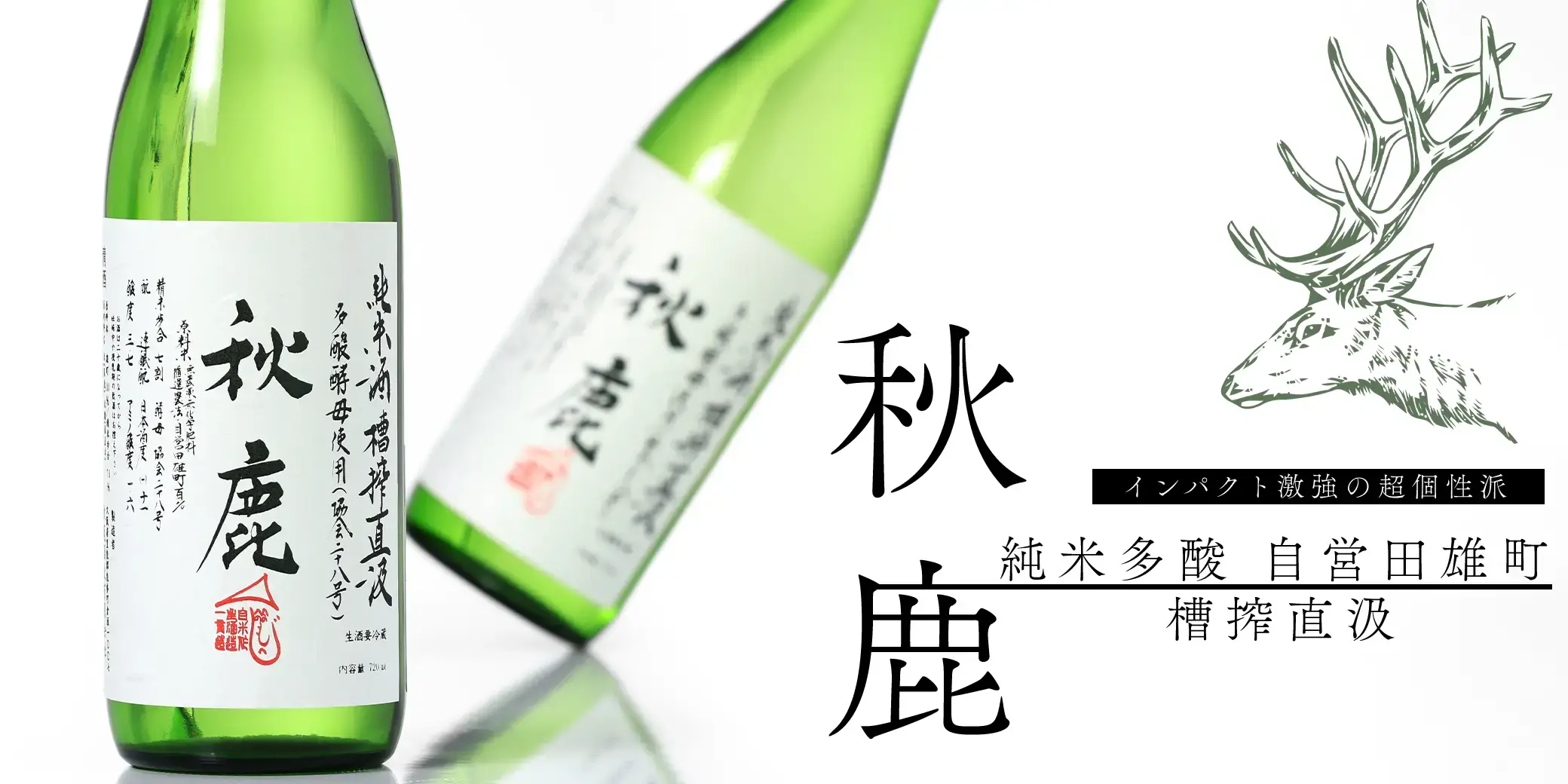 秋鹿 純米多酸 自営田雄町 槽搾直汲