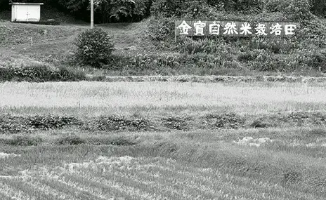 仁井田本家