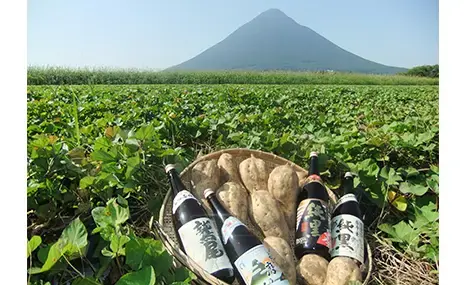 田村合名会社