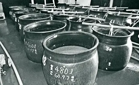 純黒 かめ仕込 白ラベル 1.8L | 田村合名会社 | 酒専門店鍵や 純黒 かめ仕込 白ラベル 1.8L | 田村合名会社 | 酒専門店鍵や