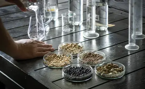 若潮酒造
