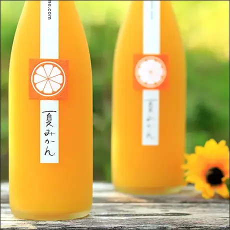 鶴梅 夏みかん