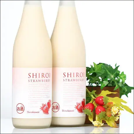 かわいい 白いいちご