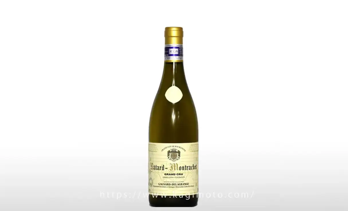 �Х��������å��� GC 2009 ���˥㡼��ɥ饰��󥸥�