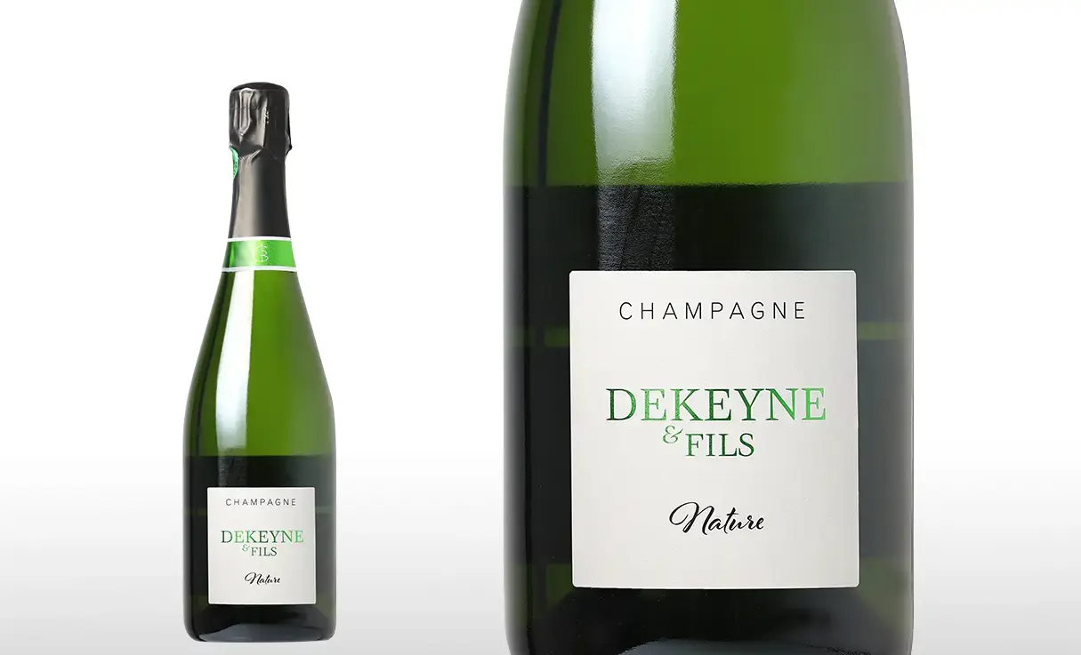 �ɥ����� �� �ե��� �ʥ��塼��