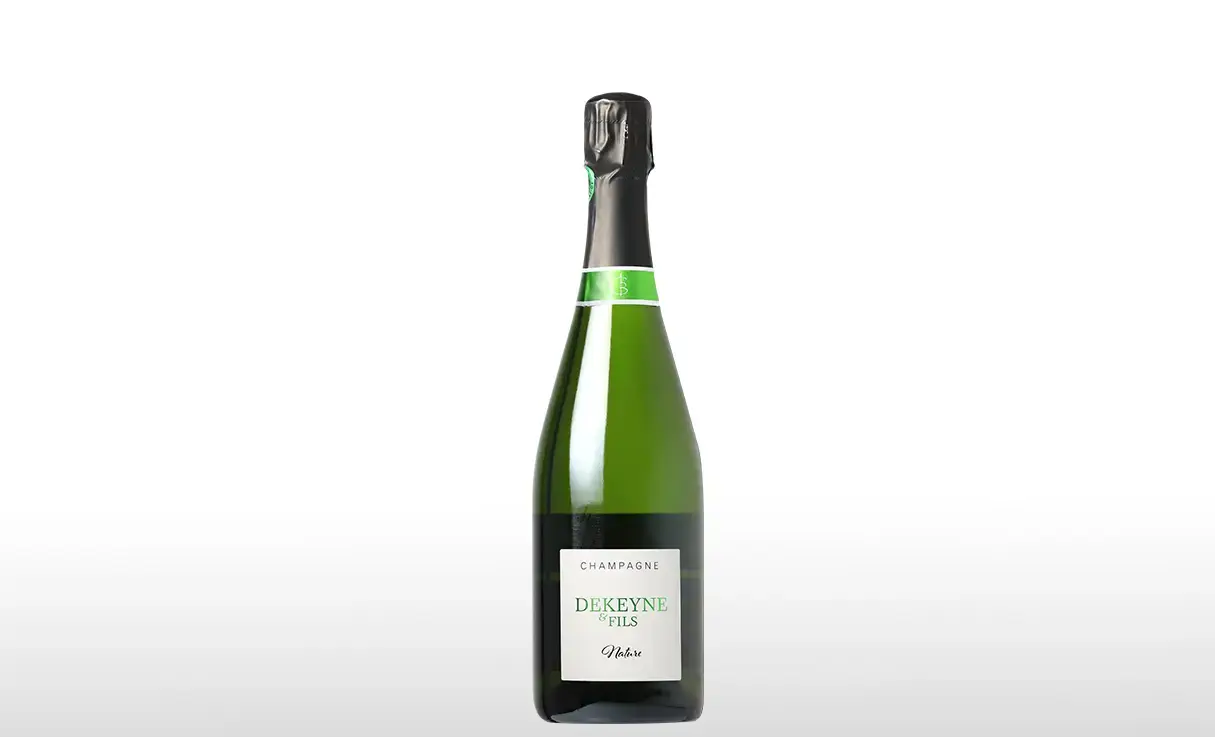 �ɥ����� �� �ե��� �ʥ��塼��