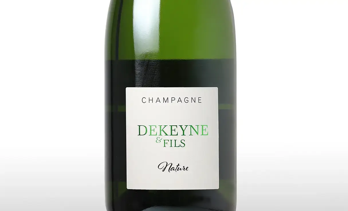 �ɥ����� �� �ե��� �ʥ��塼��