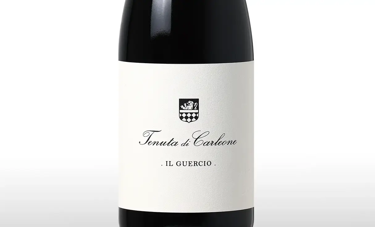 ���� ��������� 2021 �ƥ̡��� �ǥ� ����쥪����