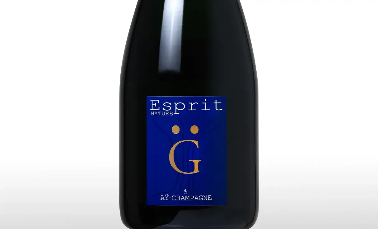 ����� ������ �����ץ� �ʥ��塼�� G