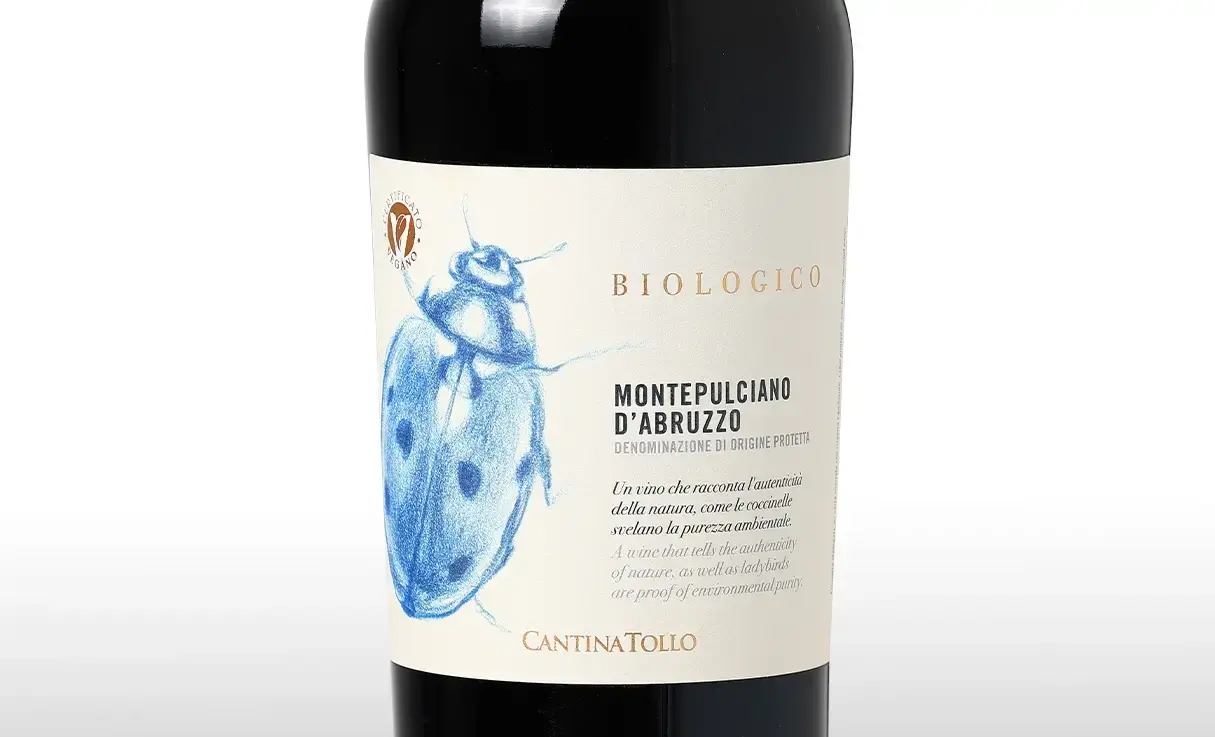 ƥ ȥå ƥץ㡼 ֥åĥ BIO 󥻥åƥ