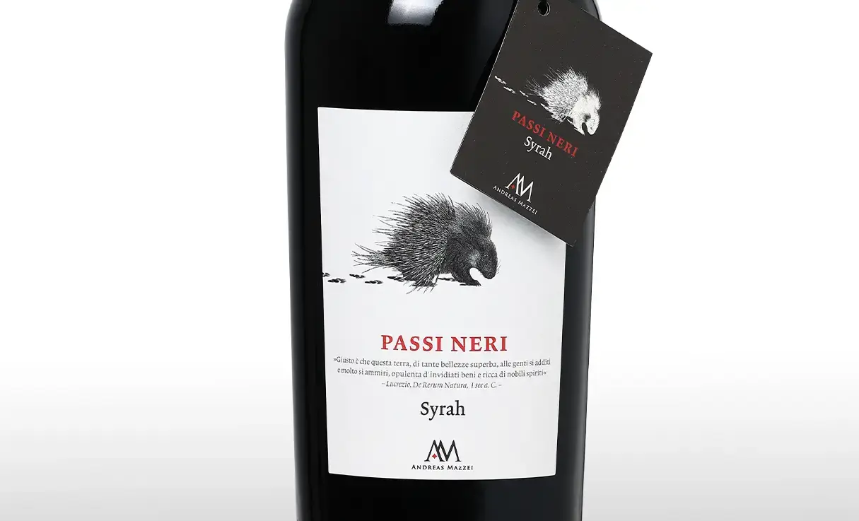 �ѥå� �ͥ� ���顼 �ƥå� �����ꥢ���� IGP ����ɥ쥢�� �ޥåĥ���