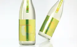 󡦥 typeY2  End of the beginning