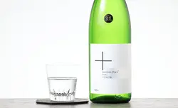 ������ ���ƶ�� +Plus ��