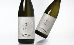 �ܴ��� �������� ��Τ�����