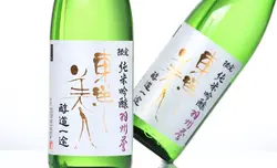 東洋美人 限定純米吟醸 醇道一途 羽州誉