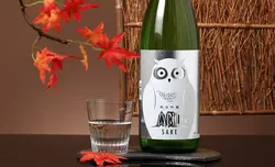 ������ ���ƶ�� AKI�ե�����