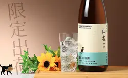 ���ͤ� ���ƻ��Ķ�