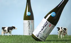 ξ Ķǻ衼ȼ