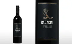 ��������� ���٥�� ���������˥��