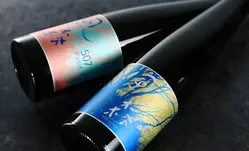 ο Petitʥץ10coloursʽƶ375ml