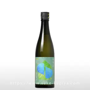 S 風の森 2024 ☆☆ 杉浦 西地区02