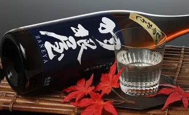 羽根屋 純米吟醸 ひやおろし 生詰