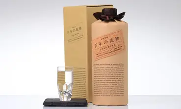 百年の孤独