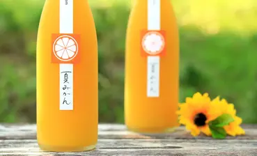 鶴梅 夏みかん