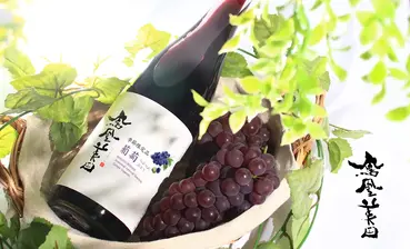 鳳凰美田 つぶつぶ葡萄