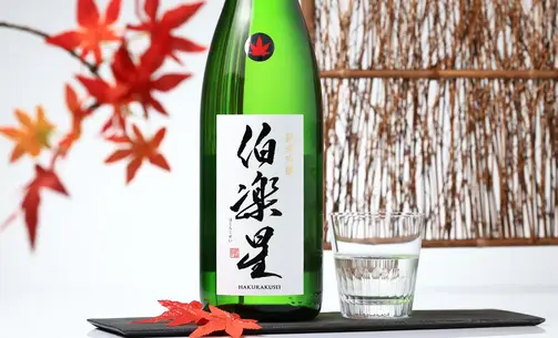 伯楽星 純米吟醸 冷卸