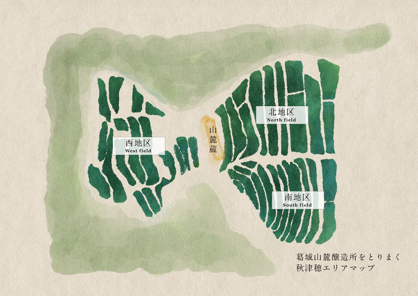 S 風の森 2024 杉浦 南地区02 720ml | 風の森（油長酒造） | 酒専門店鍵や