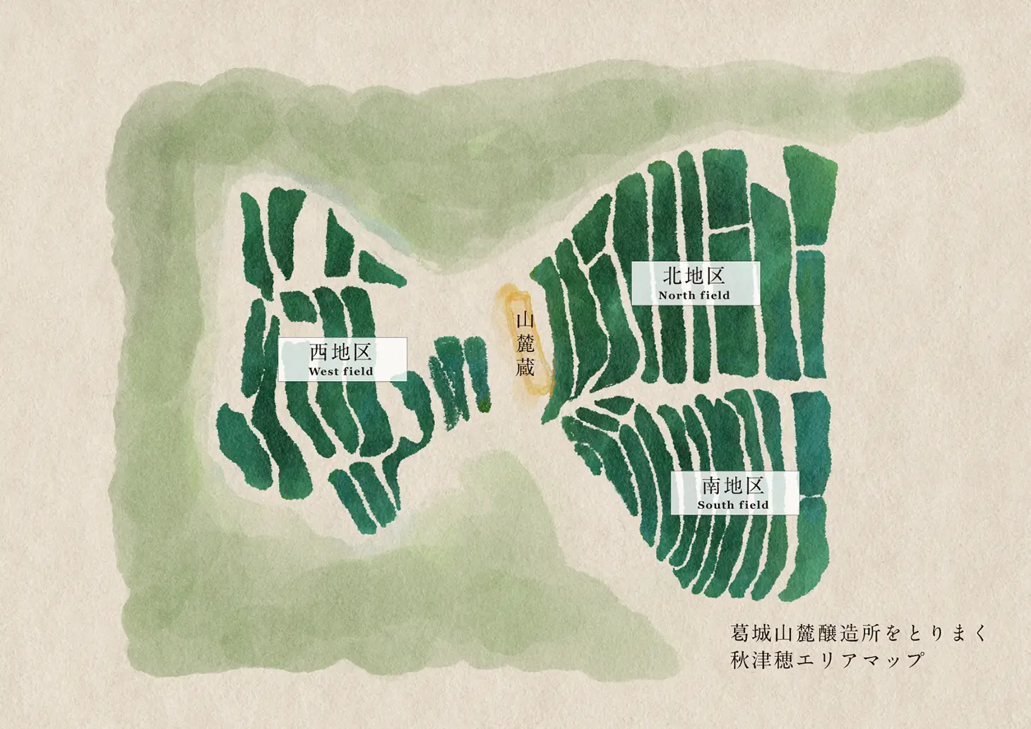 S 風の森 2024 杉浦 西地区02 720ml | 風の森（油長酒造） | 酒専門店鍵や