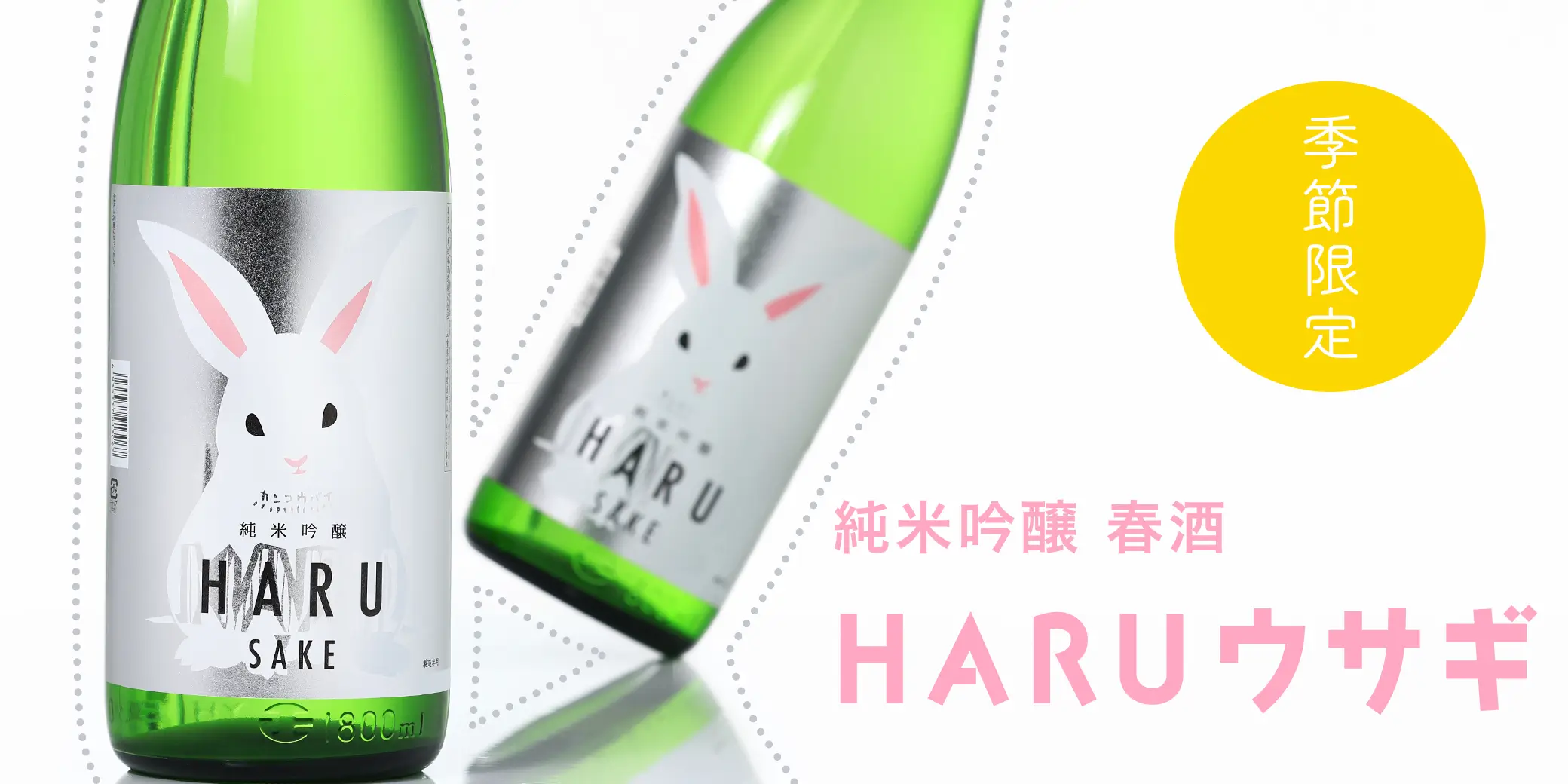 ������ ���ƶ�� HARU������