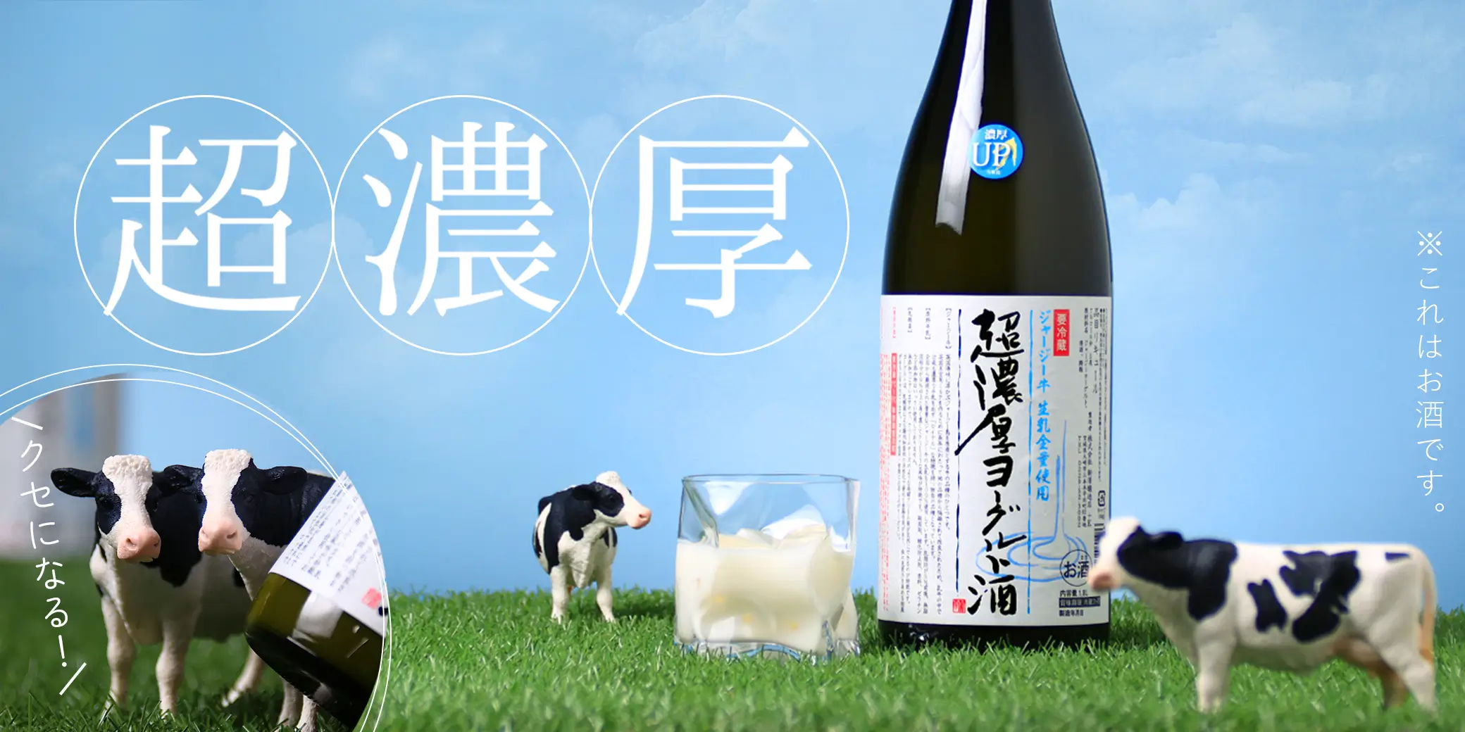 ����ξ� Ķǻ���衼����ȼ�