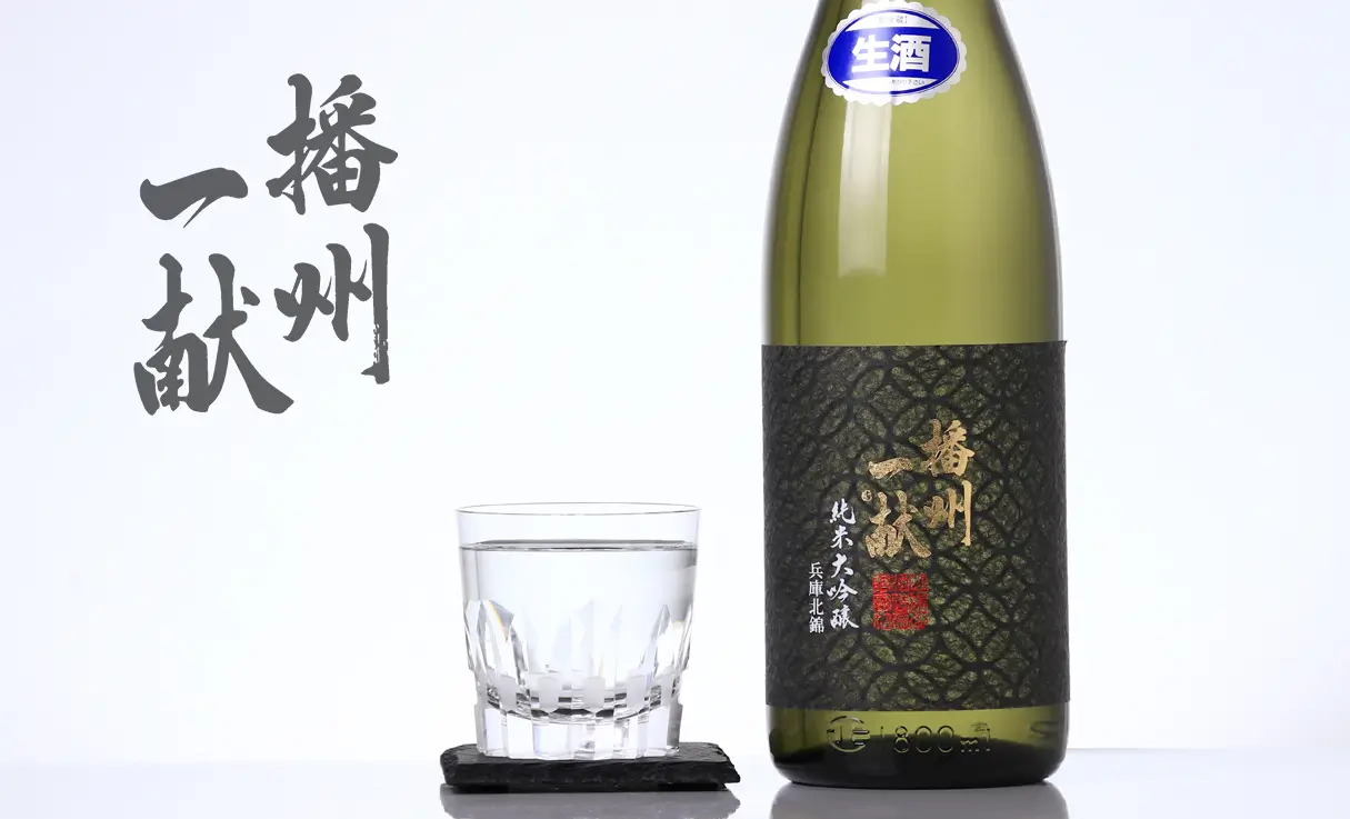 �Ž��츥 ���� �������� ����